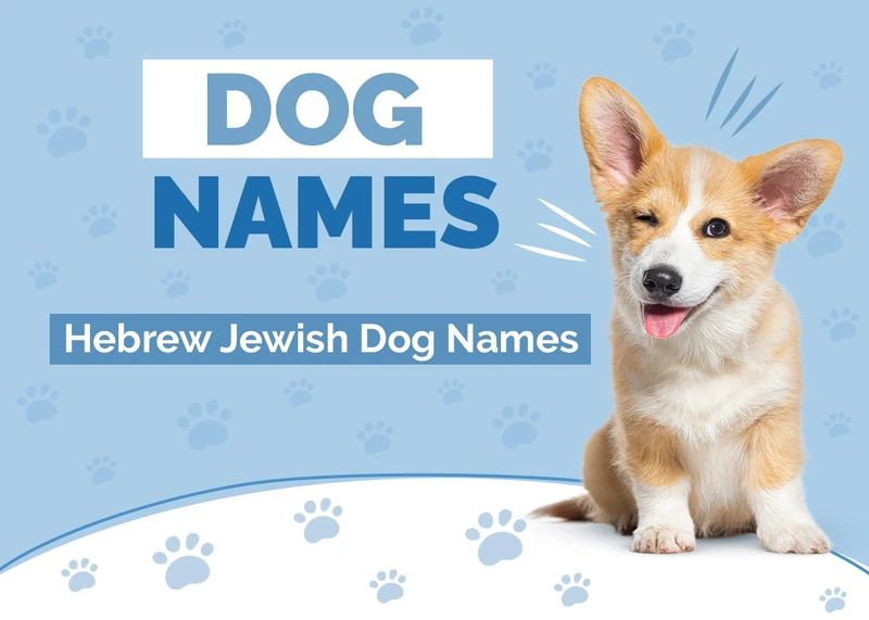 110 Hebrew & Jewish Dog Names: Yiddish & Fun Ideas | Hepper Pet Resources