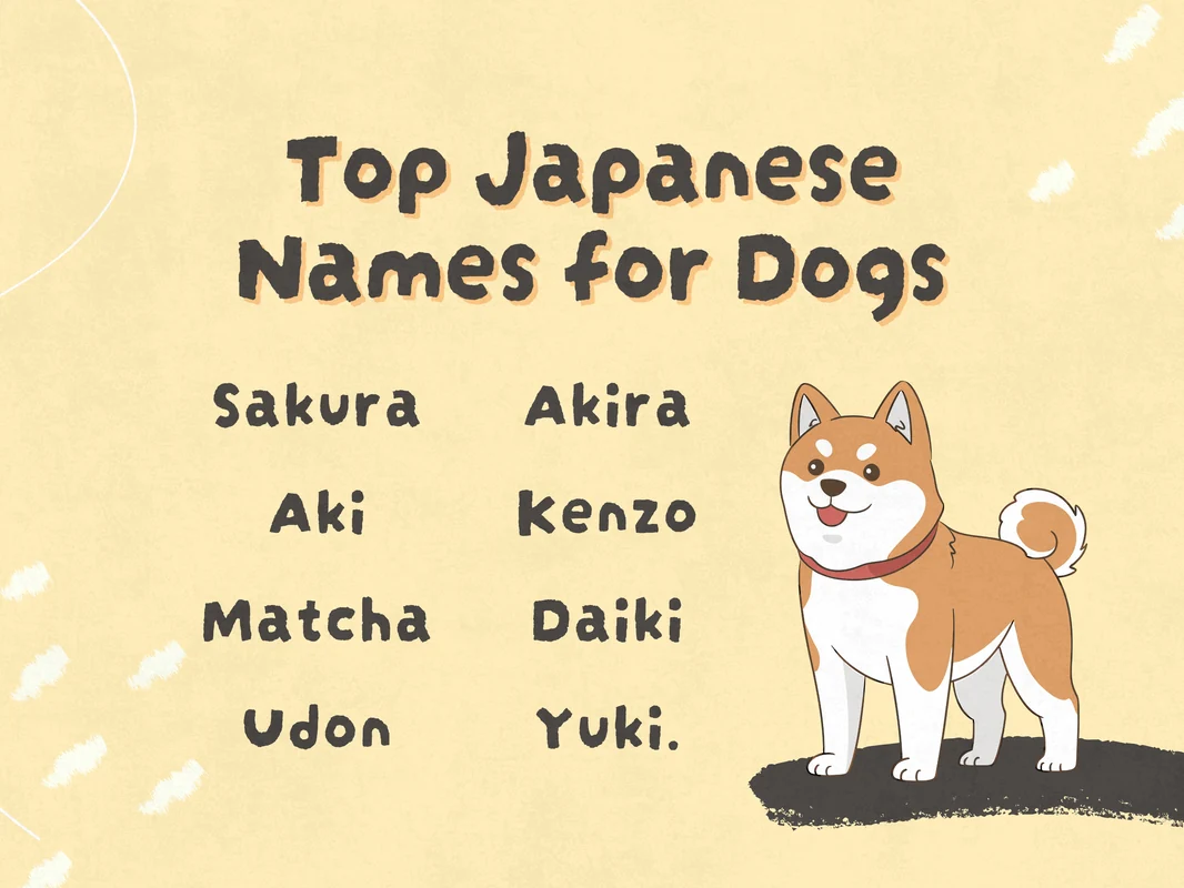 Unisex Japanese Dog Names (Source: wikihow.com)